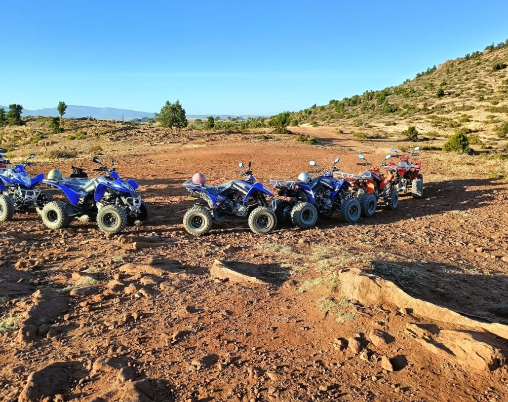 WhatsApp Image 2025-02-18 at 11.06.44 (1)